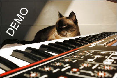 audio demo and cat mimi